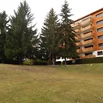 Cozy House Apartment Crans-Montana